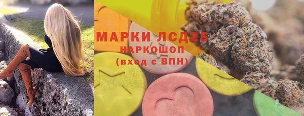 гашик Солнечногорск