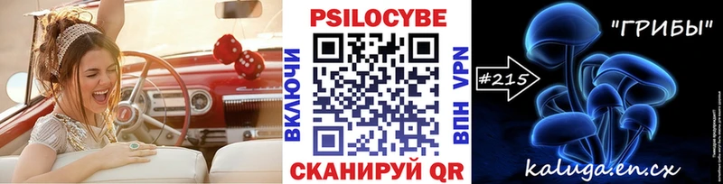 Галлюциногенные грибы GOLDEN TEACHER  hydra как зайти  Ставрополь  хочу наркоту 