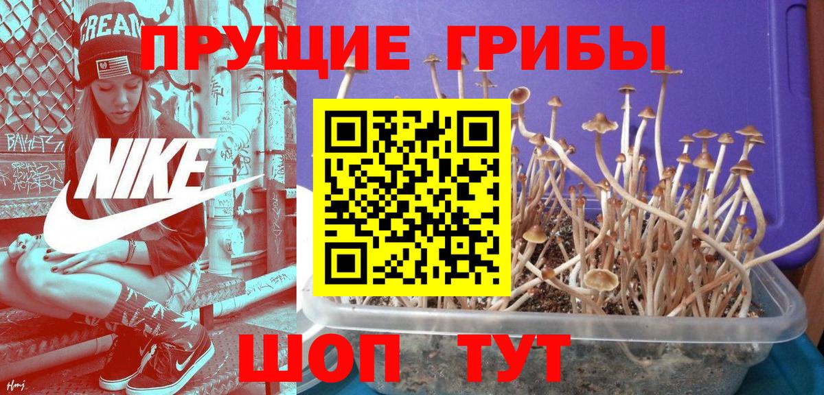 Ставрополь  Галлюциногенные грибы ЛСД  Вход с VPN 